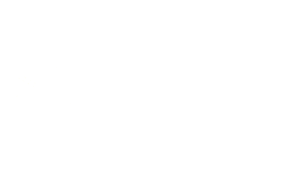 Spot Ship