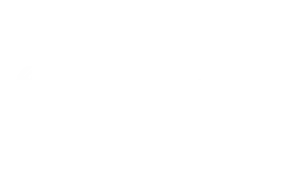 Spot Ship