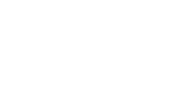 STONESTEP